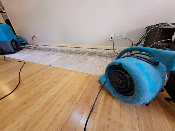 Professional Basement Flood Cleanup technician working in Milladore, WI